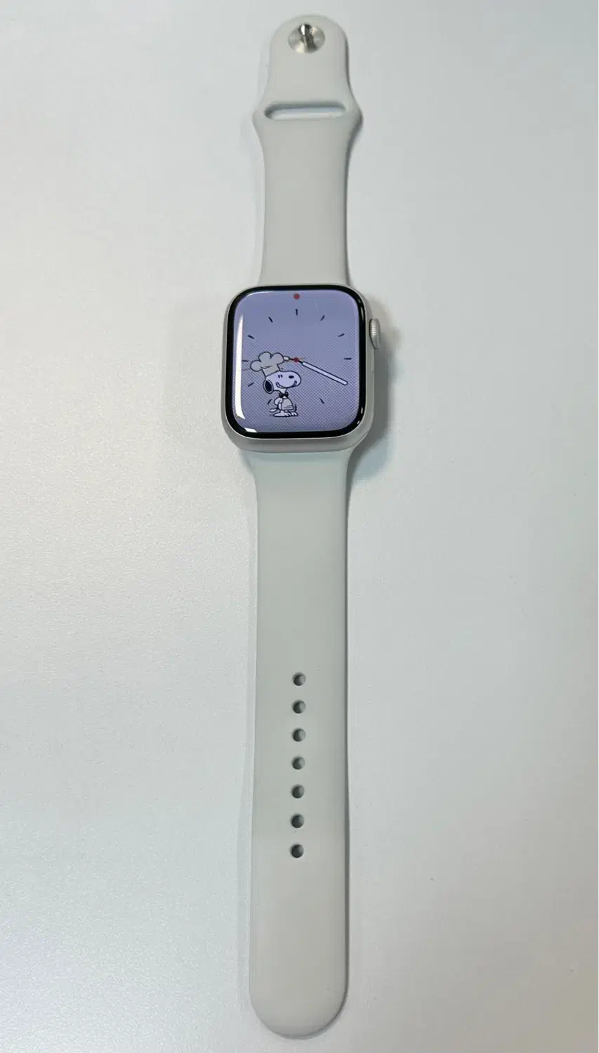 اپل واچ سری ۸ ۴۵ میلیمتر رنگ سیلور|لوازم جانبی موبایل و تبلت|تهران, الهیه|دیوار