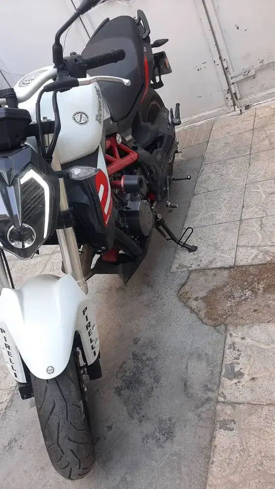 فروش موتور بنلی 300|موتورسیکلت|شیراز, فرگاز|دیوار