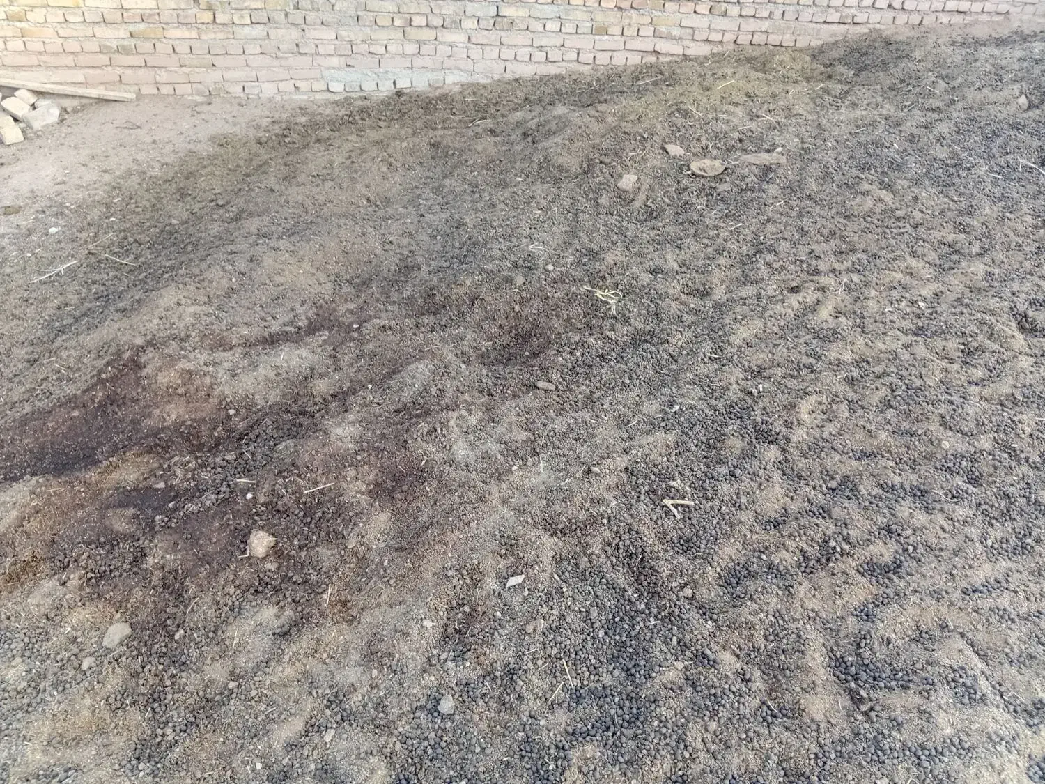 کودگوسفندی|خدمات باغبانی و درختکاری|اشتهارد, |دیوار