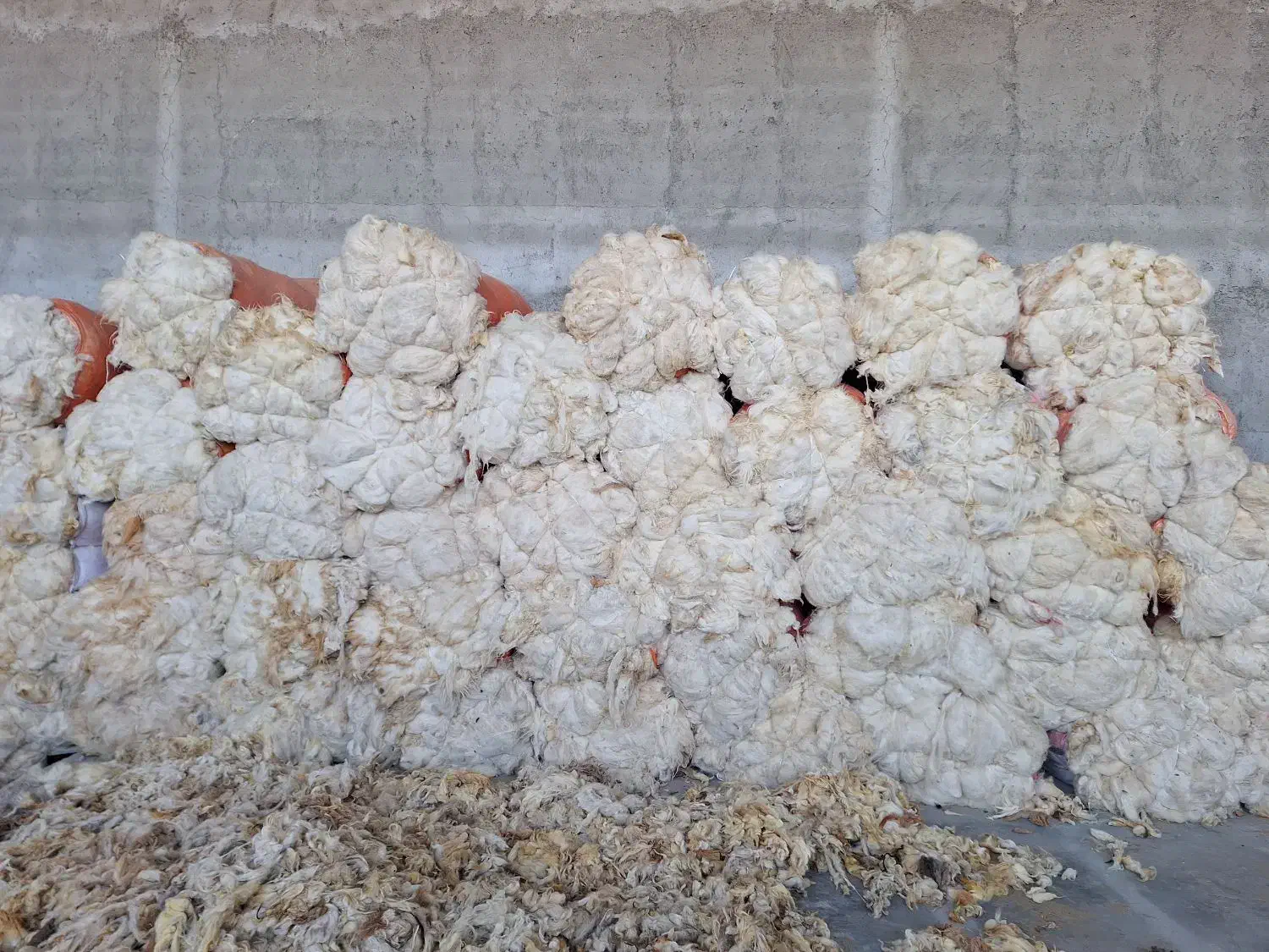 پشم فروشی|رختخواب، بالش، پتو|تبریز, |دیوار