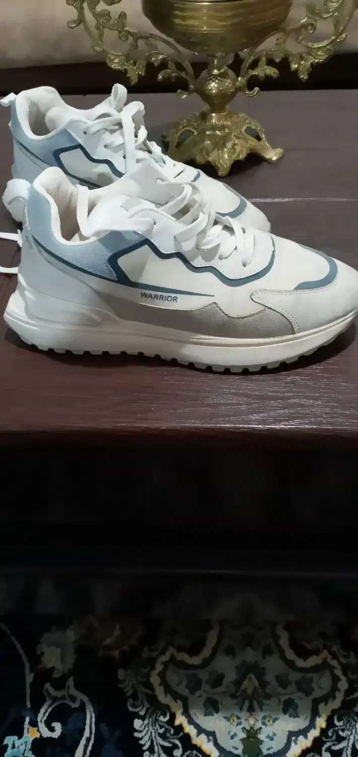 کفش نو|کیف، کفش، کمربند|کوهدشت, |دیوار