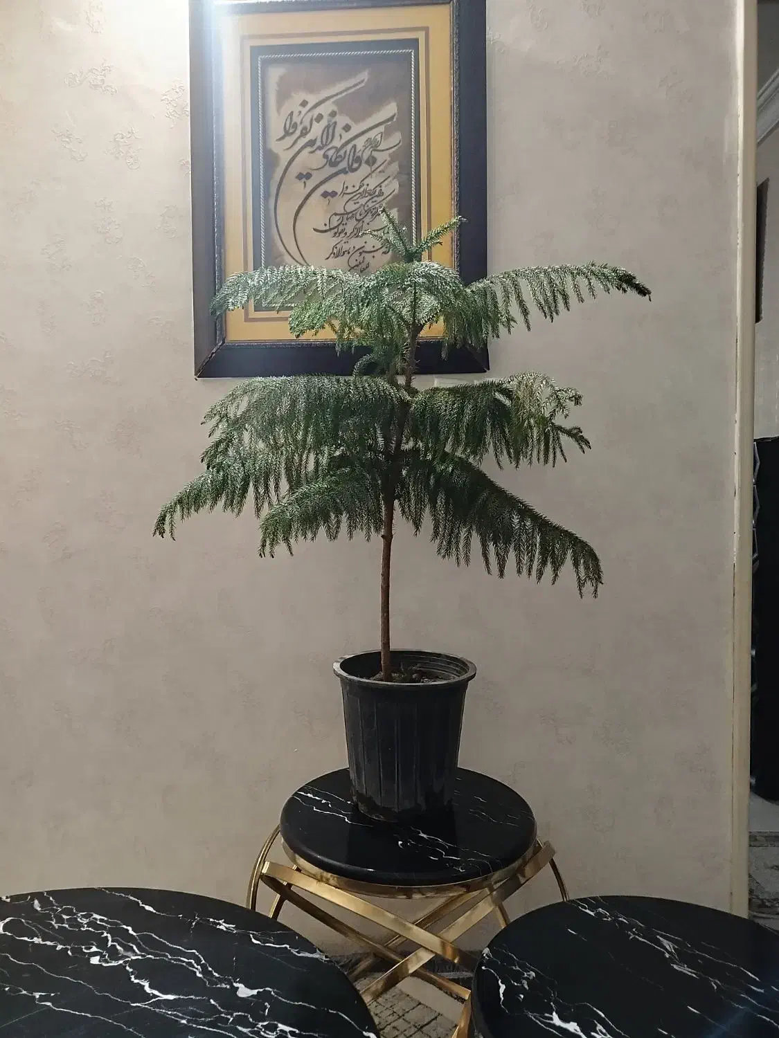 میزعسلی تمیز.|مبلمان خانگی و میز عسلی|مشهد, حضرت حجت|دیوار