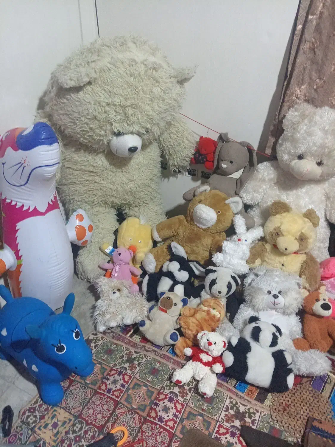 100 عروسک|اسباب‌‌بازی|نوشهر, |دیوار