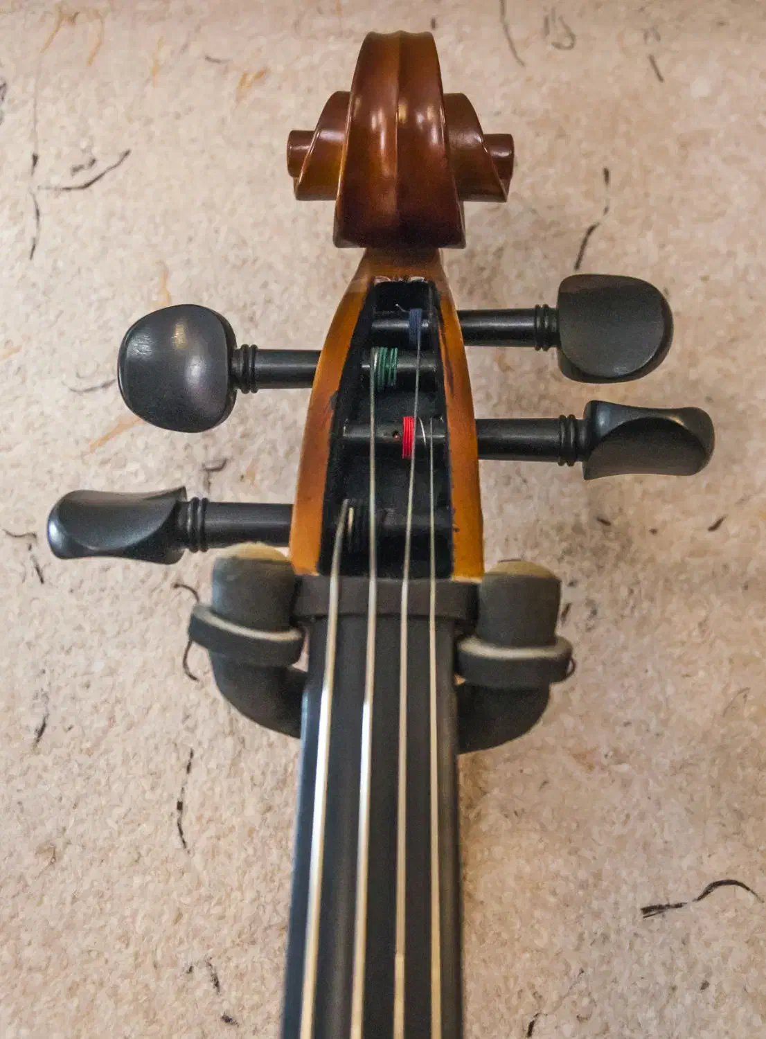 ویولنسل / ویلنسل / ویولونسل / چلو|ویولن|شیراز, گلکوب|دیوار