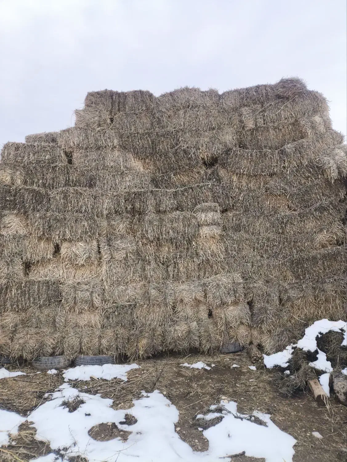 بسته کاه|لوازم جانبی حیوانات|شوط, |دیوار