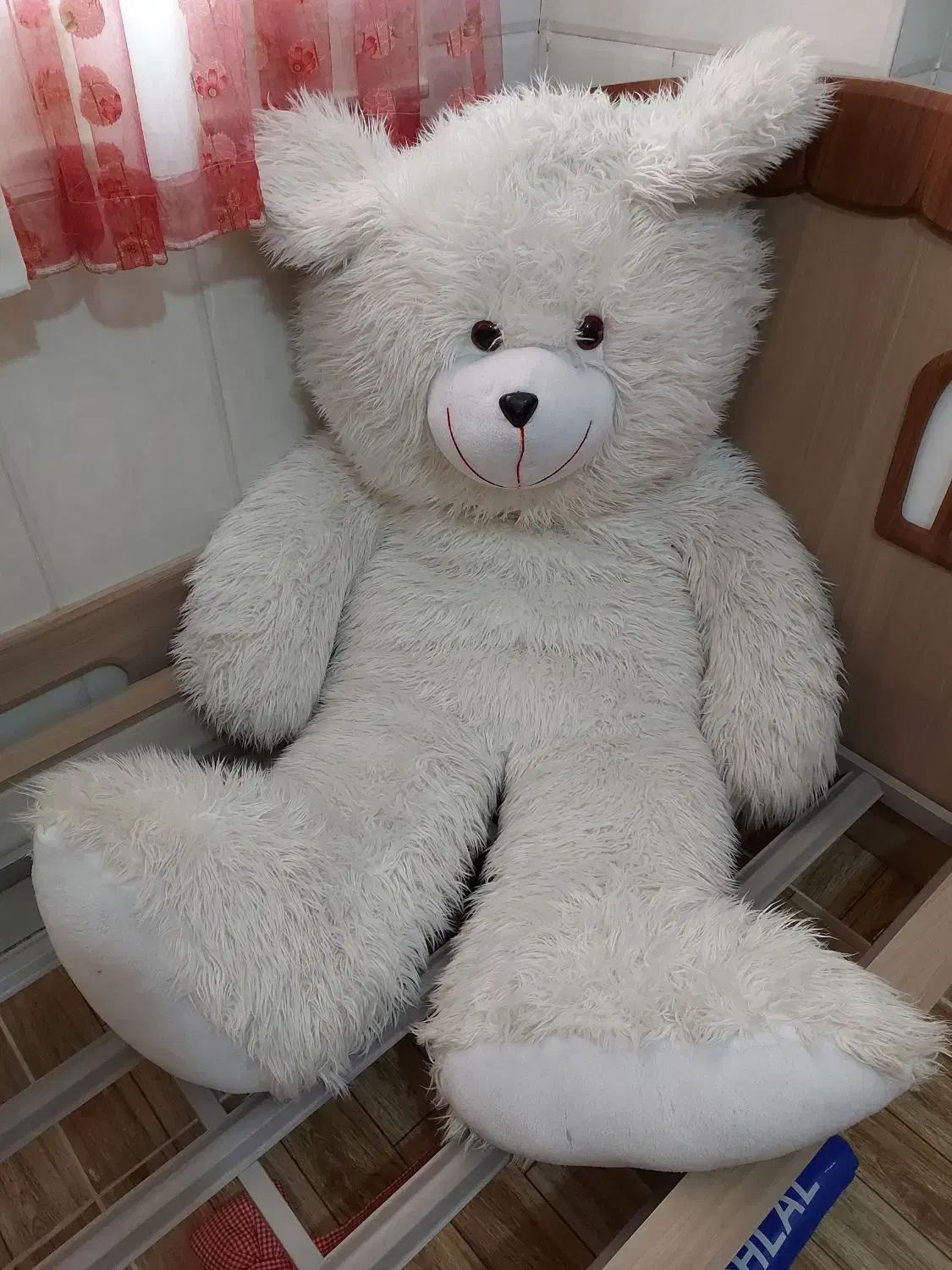 عروسک خرس|اسباب‌بازی بچه|قم, حقیقت|دیوار