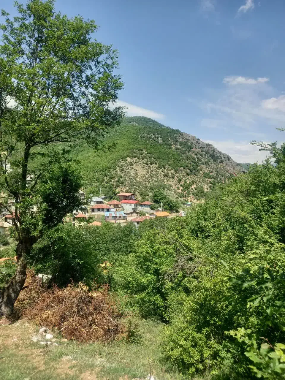 فروش فوری زمین در جماالدین کلا|فروش زمین و ملک کلنگی|کیاسر, |دیوار