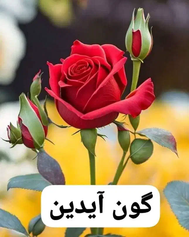 فروش فوری وام مهربانی ملی|خدمات مالی، حسابداری، بیمه|نظر کهریزی, |دیوار