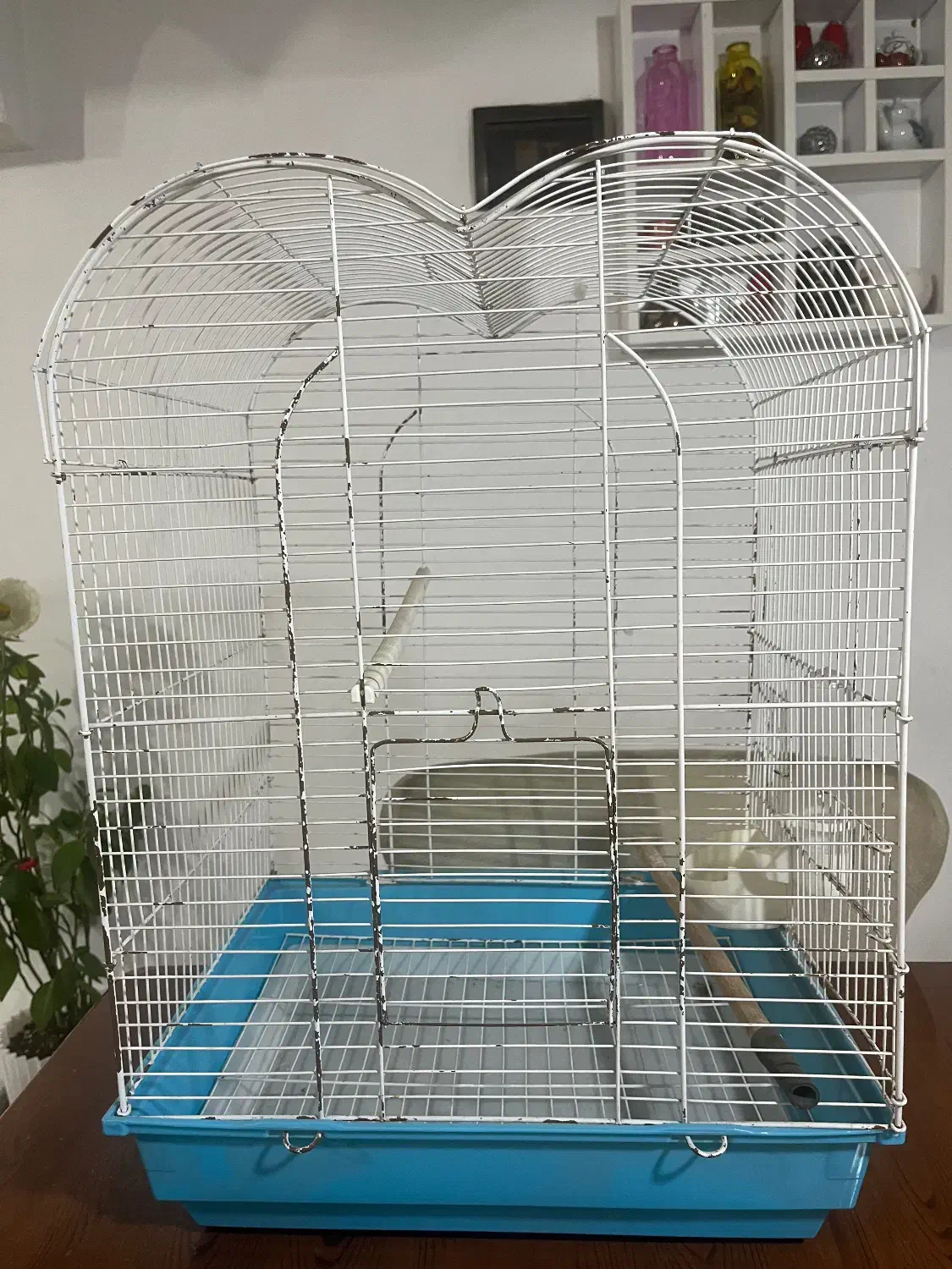 قفس پرنده|لوازم جانبی حیوانات|رشت, باهنر|دیوار