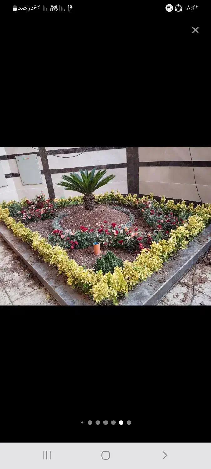 خدمات باغبانی سمپاشی هرسکاری سم سوسک سراسر تهران|خدمات باغبانی و درختکاری|تهران, تجریش|دیوار