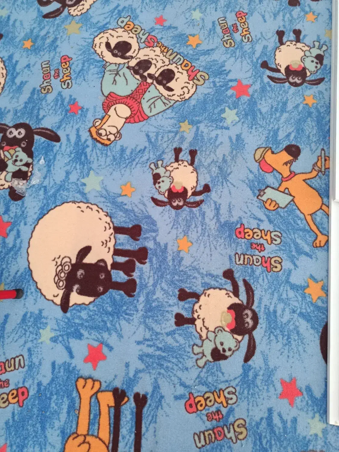 موکت طرح کودک|فرش|تربت‌حیدریه, حسنی بالا|دیوار