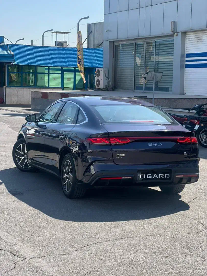 بی وای دی Qin L|خودرو سواری و وانت|کرج, عظیمیه|دیوار