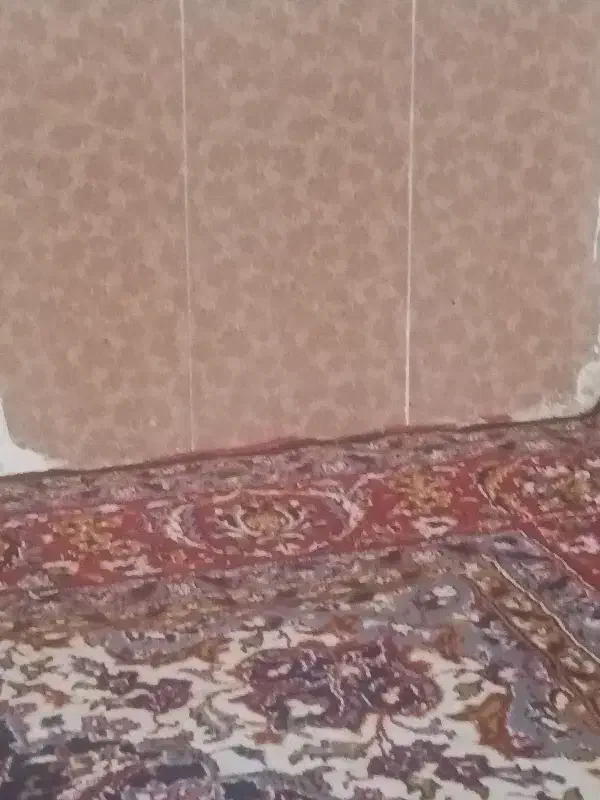 اجاره سوییت|اجارهٔ کوتاه‌مدت آپارتمان و سوئیت|مشهد, پنجتن|دیوار