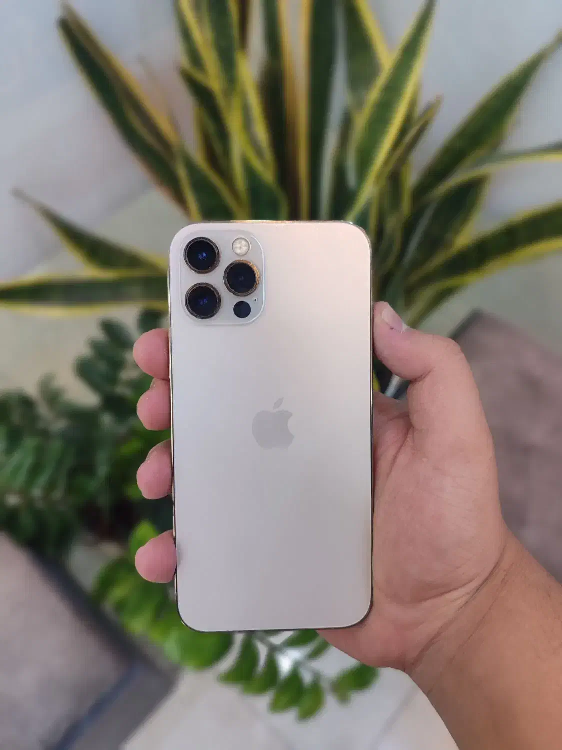 آیفون ۱۲ پرو  رنگ Gold|موبایل|اصفهان, مفتح|دیوار