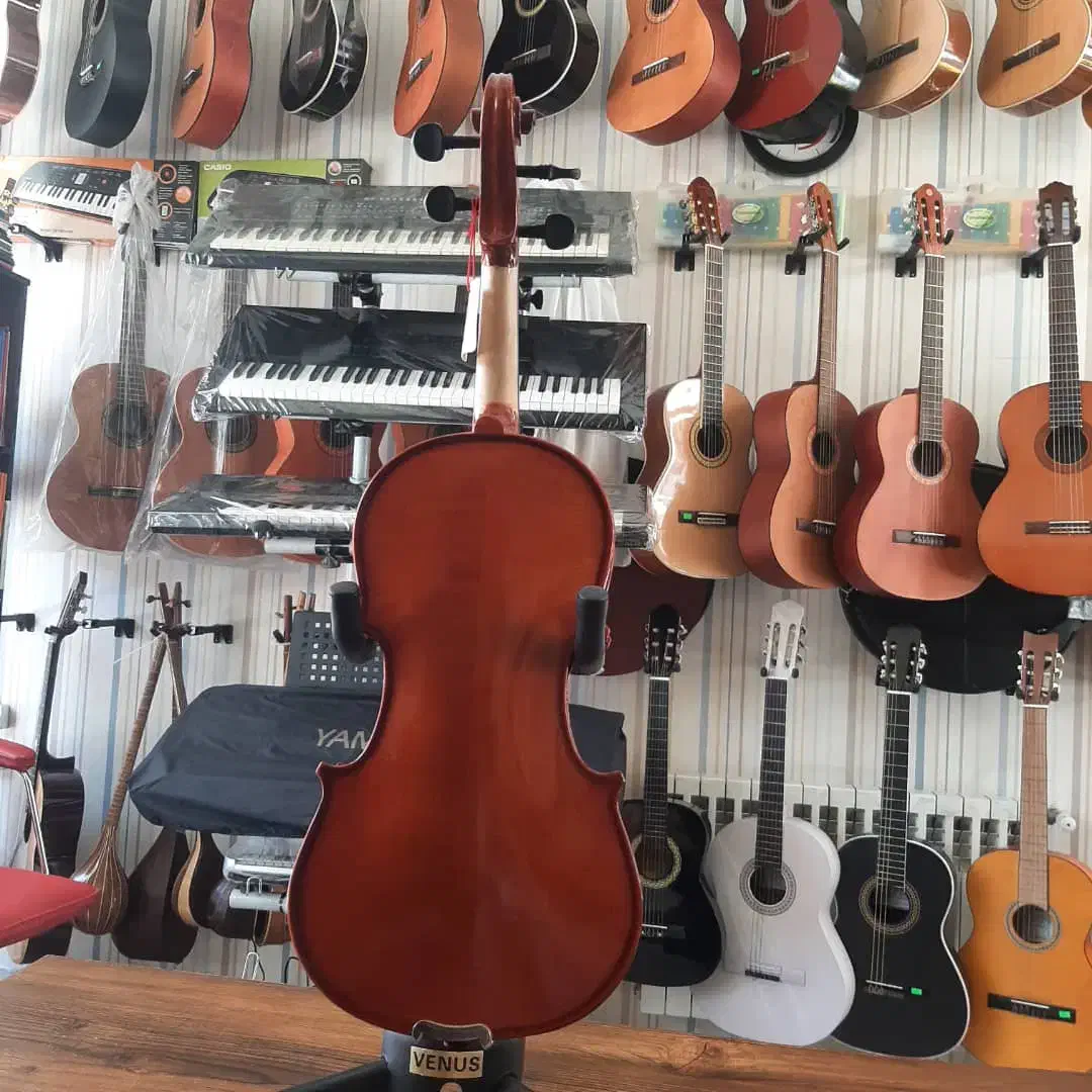 ویالون ۳/۴ و ۴/۴ والنسیا|ویولن|پردیس, فاز ۲|دیوار