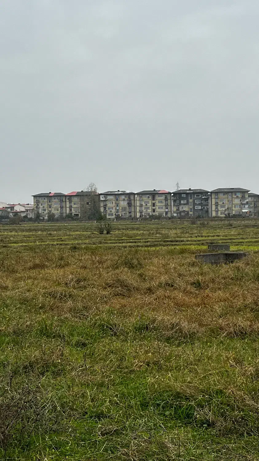 سرمایه گذاری/ فروش زمین/ شهرک شهرداری/قطعه ۱۱|فروش زمین و ملک کلنگی|تالش, طولارود|دیوار