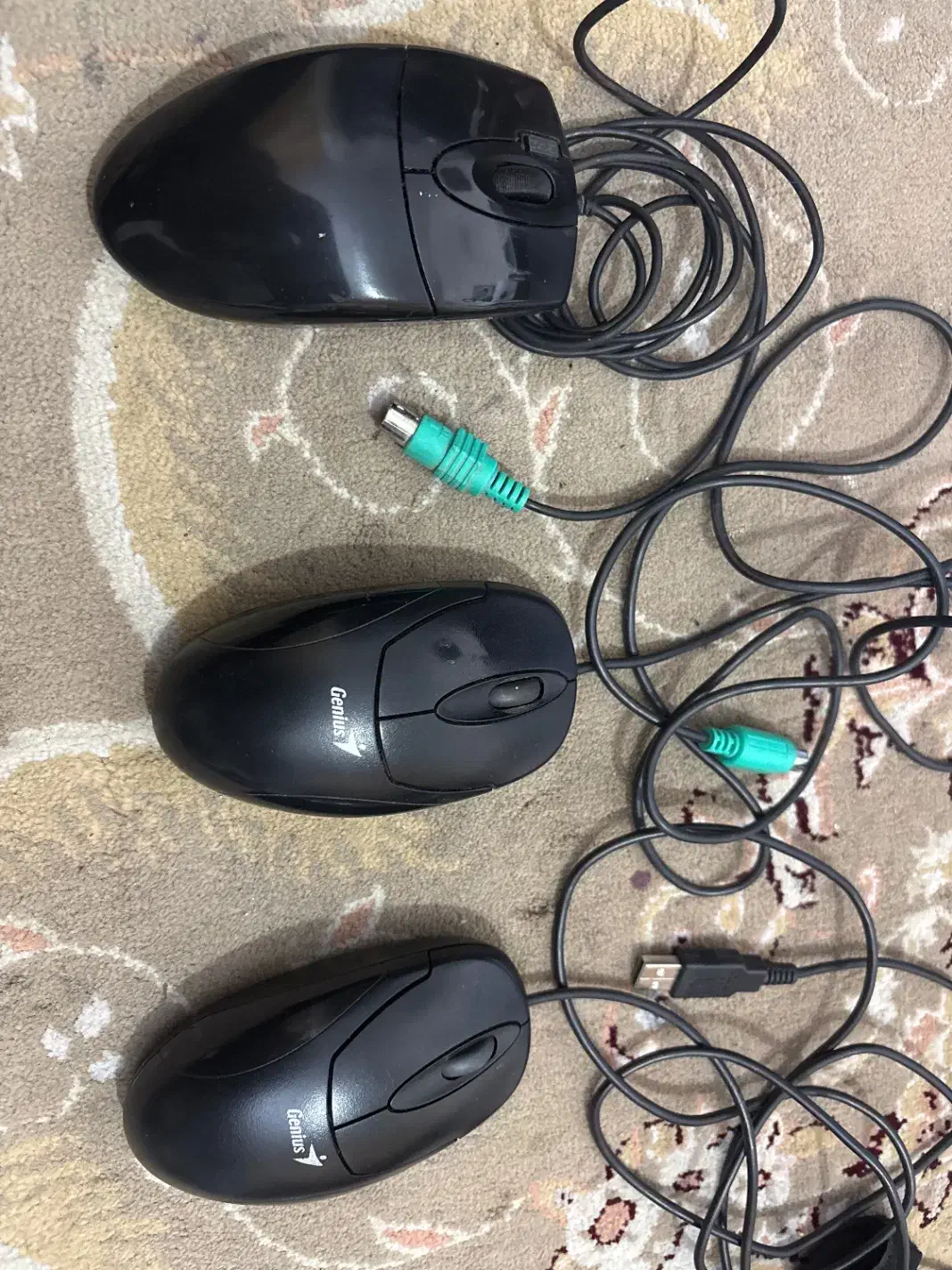 موس|قطعات و لوازم جانبی رایانه|شیراز, کاراندیش|دیوار