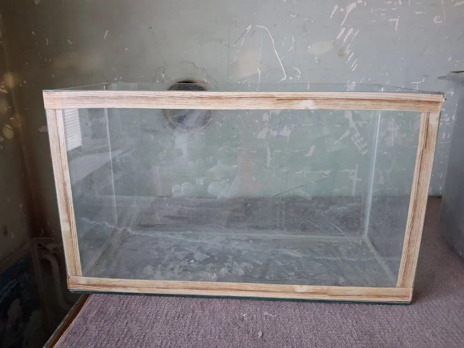 آکواریوم|لوازم جانبی حیوانات|یزد, |دیوار