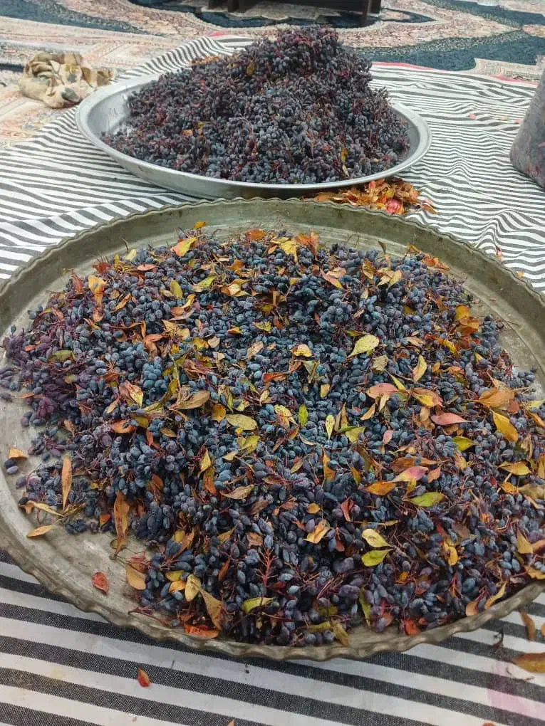 اب زرشک کوهی طبیعی|خوردنی و آشامیدنی|کرج, شهرک فهمیده|دیوار