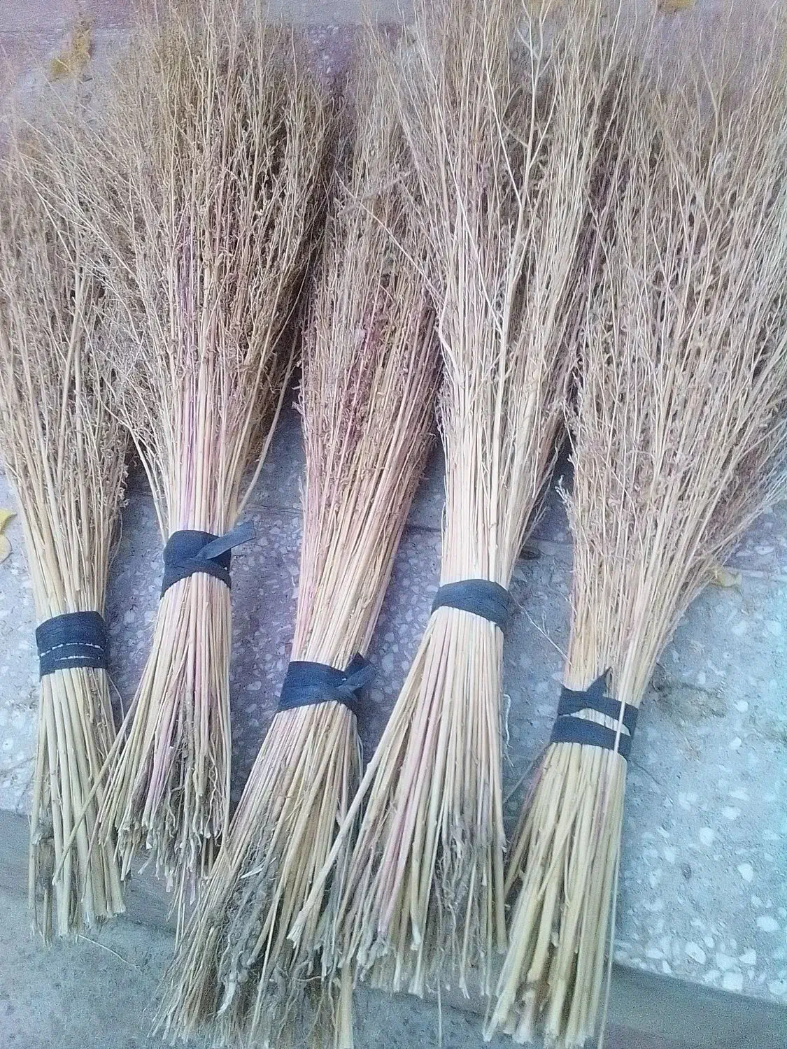 جارو پیشی|لوازم نظافت|زاغه, |دیوار