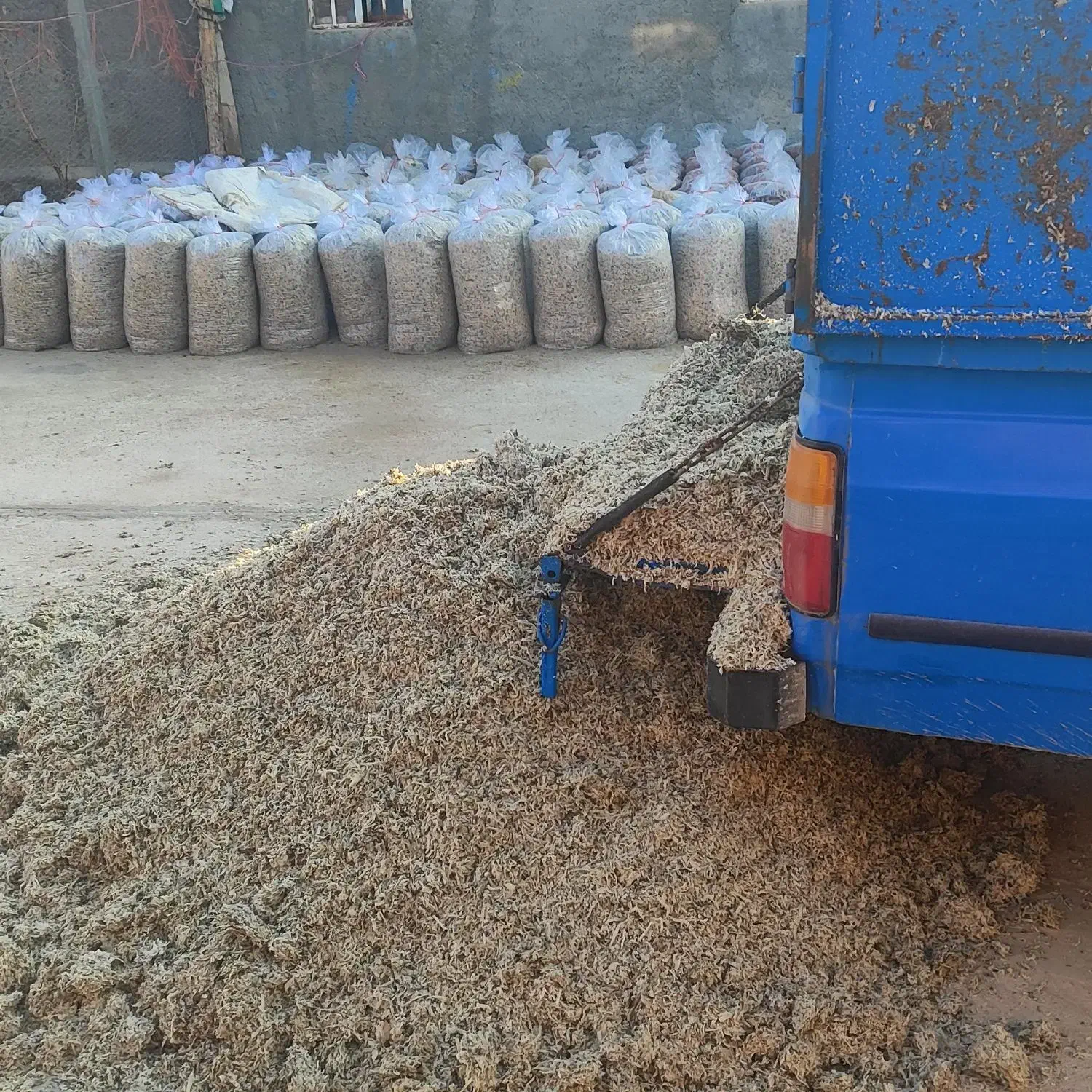 تفاله چغندر|حراج|بناب, |دیوار