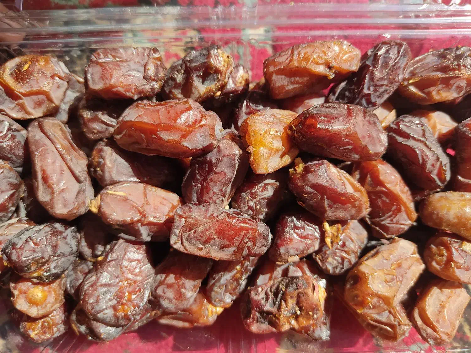 خرمای تازه|خوردنی و آشامیدنی|شیراز, دارالرحمه|دیوار