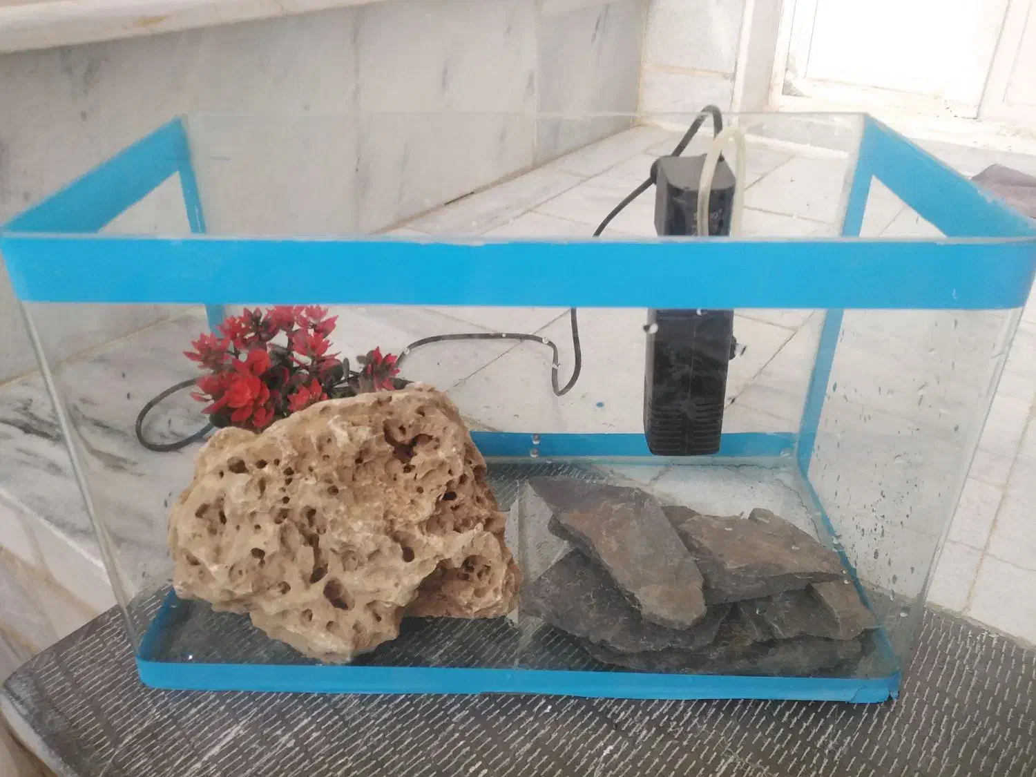 اکواریوم شیشه خم|ماهی|سنندج, |دیوار