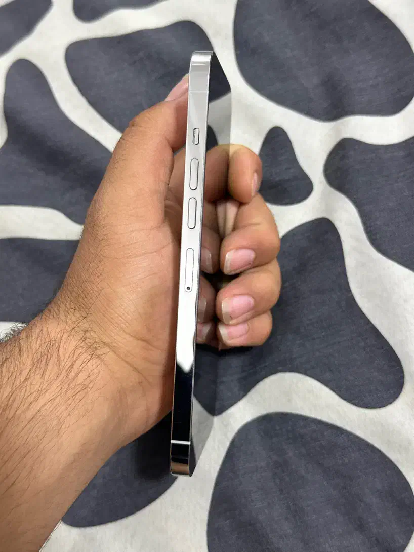 ایفون 13ProMax|موبایل|برازجان, |دیوار