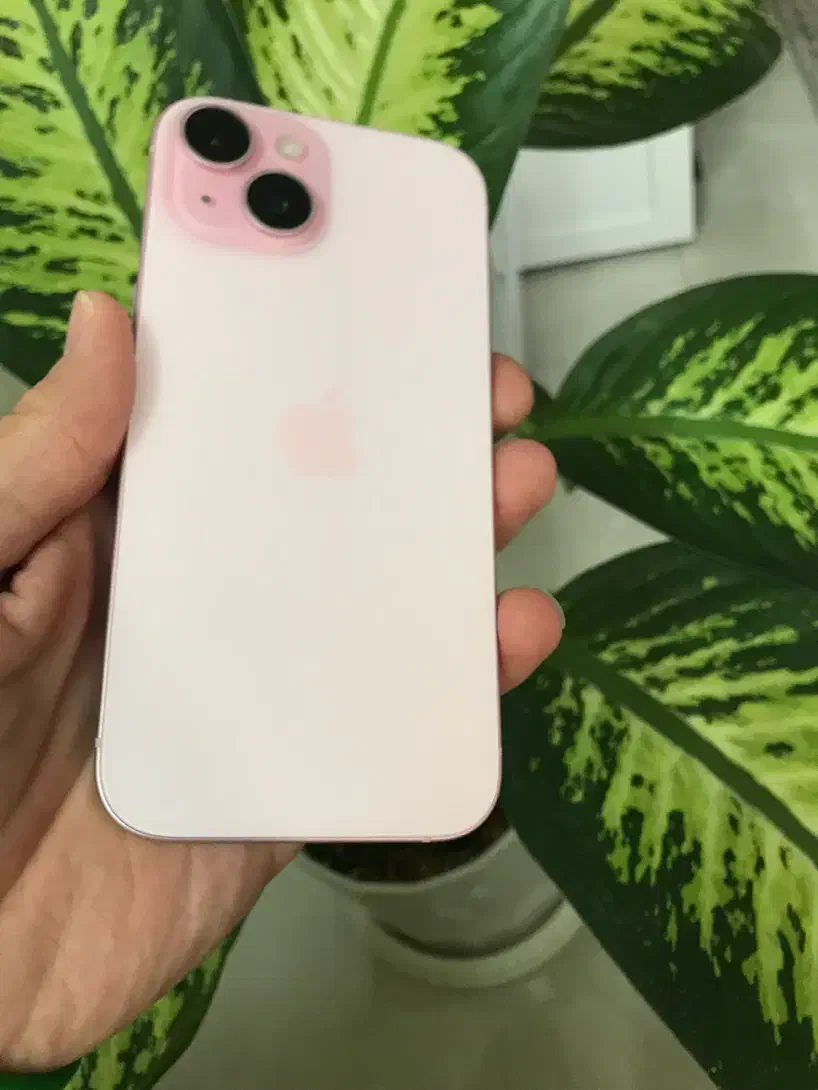 ایفون ۱۵ نرمال در حد نو تمیز دو سیم ۱۲۸گیگ|موبایل|تهران, خزانه|دیوار