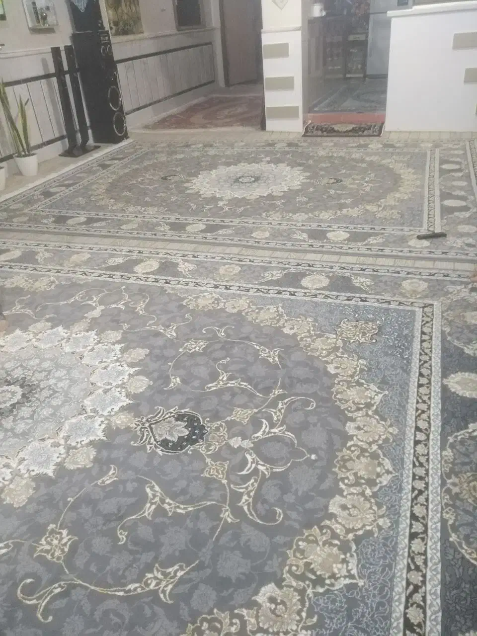 فرش دوازده متری|فرش|زابل, |دیوار