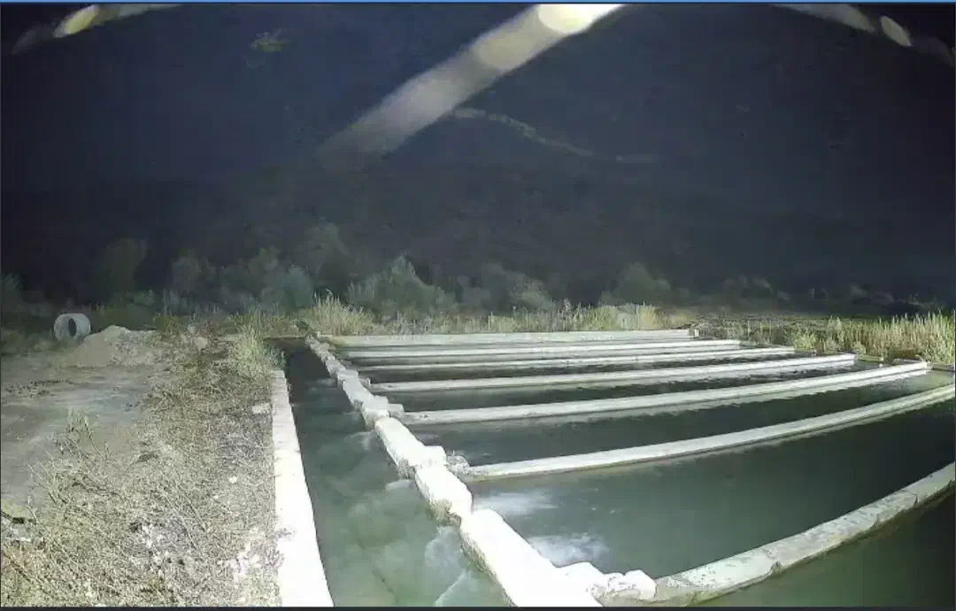 نیاز ب نیروی کار جهت کار در پرورش ماهی در ناغان|استخدام صنعتی، فنی، مهندسی|ناغان, |دیوار