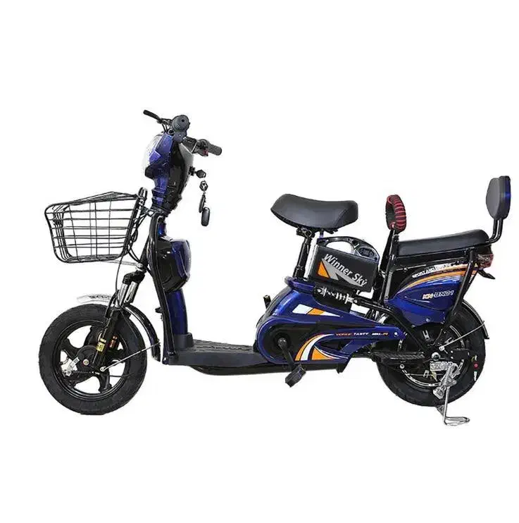 دوچرخه برقی وینر اسکای Winnersky|دوچرخه، اسکیت، اسکوتر|شیراز, ملاصدرا|دیوار