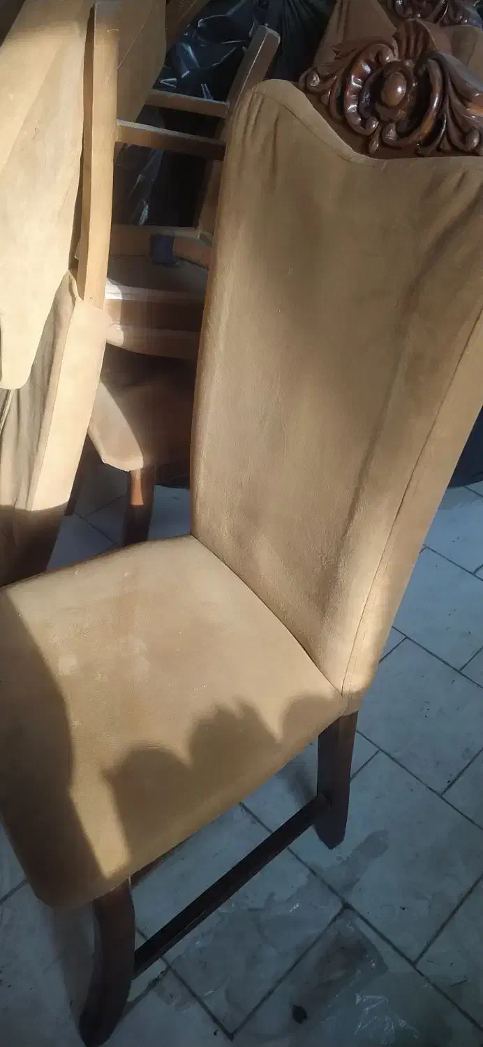 صندلی کرم|صندلی و نیمکت|رشت, منظریه|دیوار