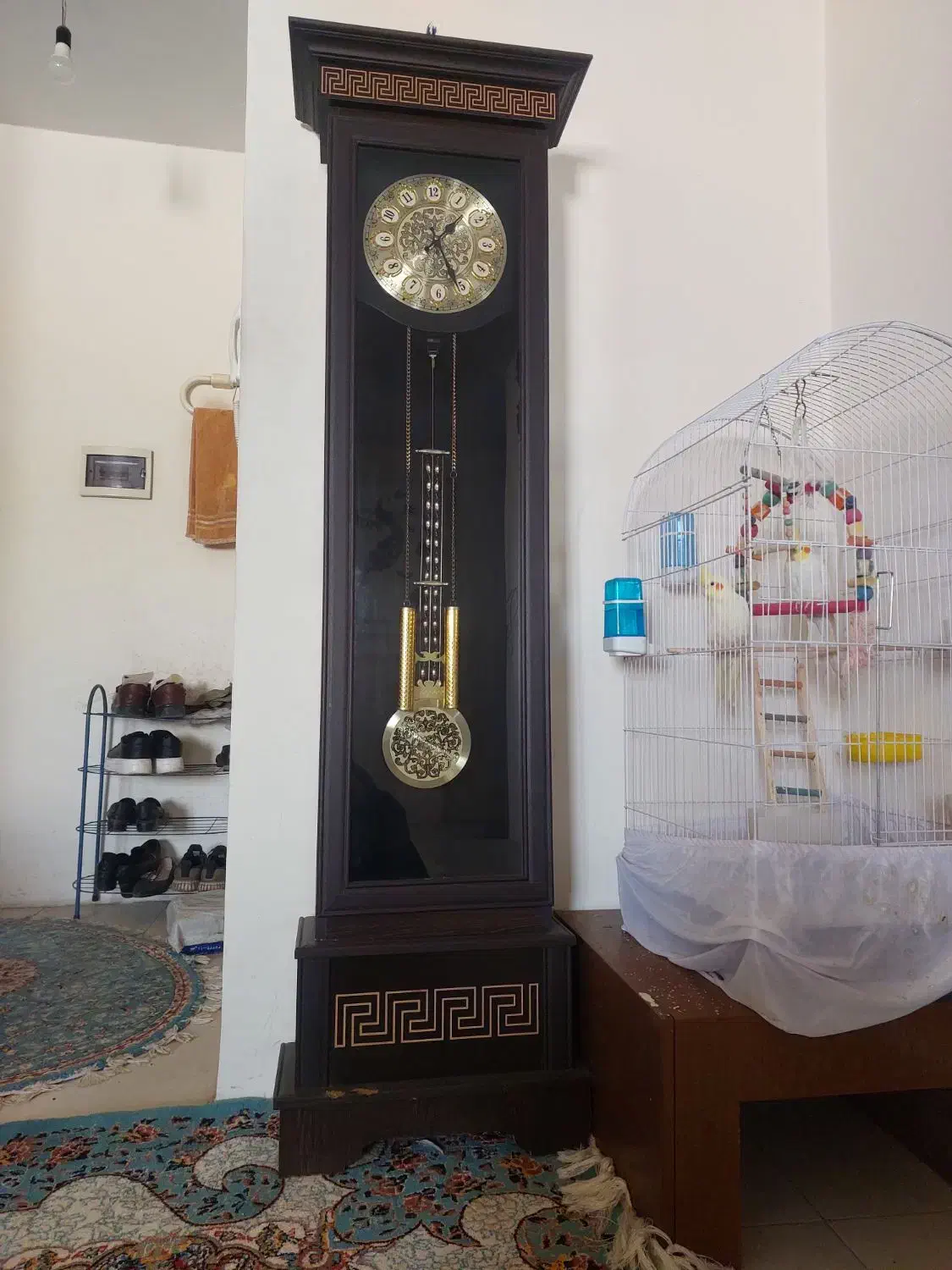 ساعت ایستاده|ساعت دیواری و تزئینی|پاکدشت, پاکدشت (مامازند)|دیوار