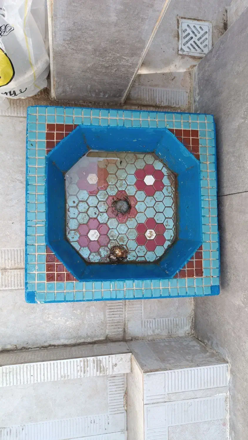 حوض ماهی|ماهی|زرقان, |دیوار