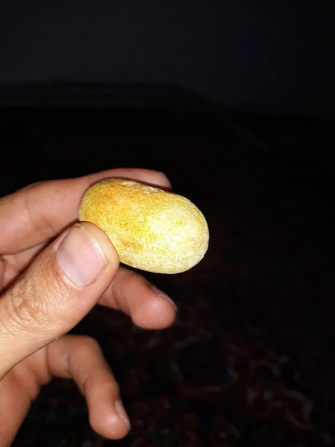 مهره|بدلیجات|ایلام, |دیوار