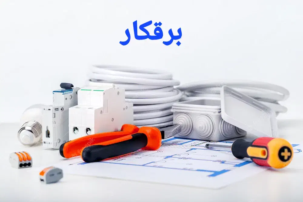 برقکار|خدمات پیشه و مهارت|بندر انزلی, متروپل|دیوار