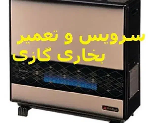 تعمیرات تخصصی بخاری گازی وبرقی /جارو برقی/لباسشویی|خدمات پیشه و مهارت|زنجان, |دیوار