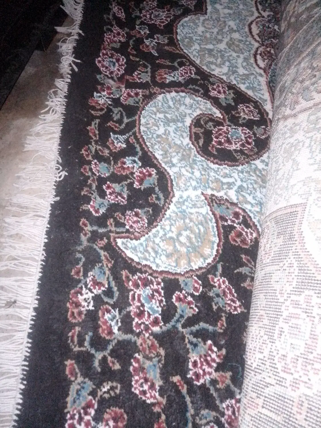 میخوام بدم دم اب جفتش ۵تمن|فرش|نورآباد ممسنی, |دیوار