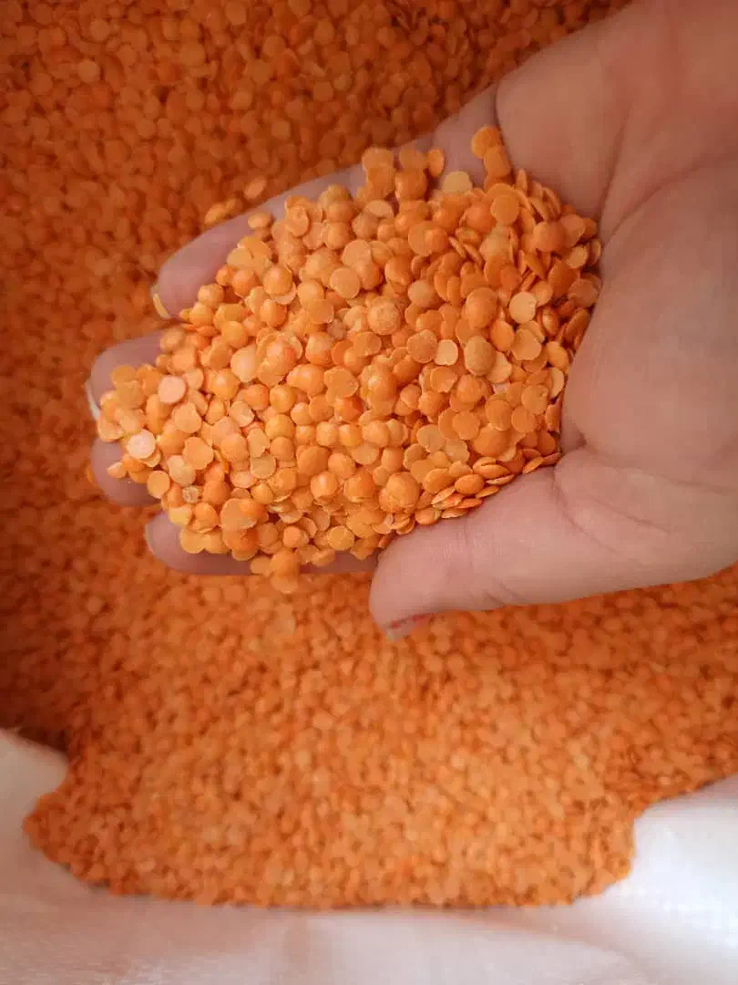حبوبات به شرط مرجوعی|خوردنی و آشامیدنی|شیراز, شهرک مطهری|دیوار