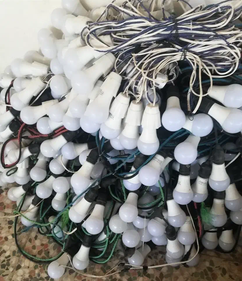 ریسه و روشنایی|ریسه و چراغ تزئینی|بندرعباس, |دیوار