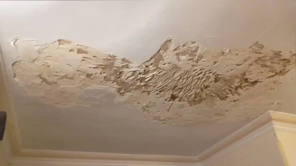 گچکاری وتخریب|خدمات پیشه و مهارت|کرج, دانشگاه خوارزمی|دیوار