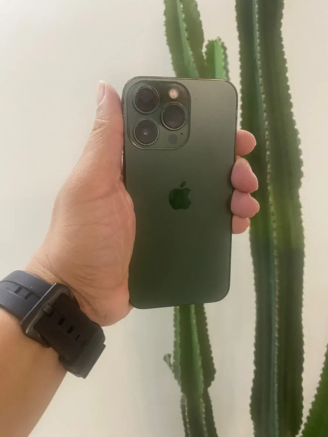 ۱۳ پرو zaa ۲۵۶|موبایل|تهران, تهرانپارس جنوبی|دیوار