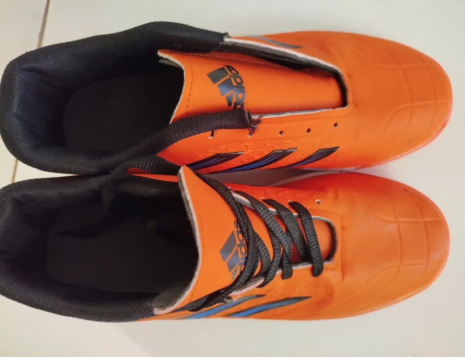 کفش ورزشی|کیف، کفش، کمربند|شیراز, پودنک|دیوار