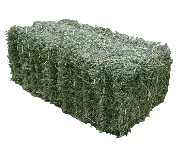 پرس یونجه|لوازم جانبی حیوانات|گلپایگان, |دیوار