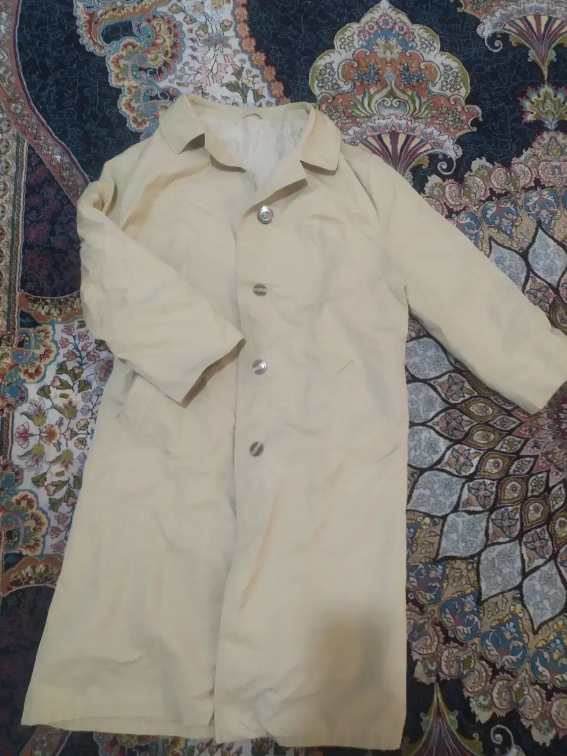 پالتو|لباس|اصفهان, باغ فردوس|دیوار