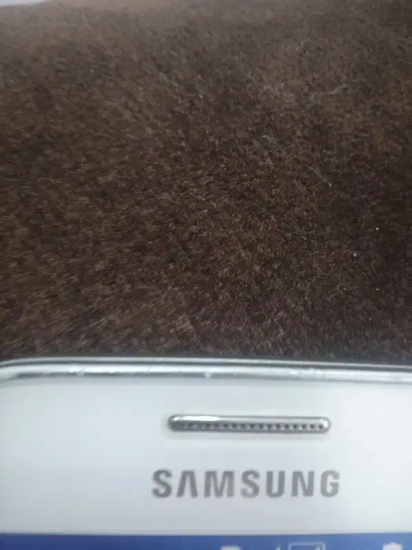 راهنمایی|فعالیت داوطلبانه تحقیقاتی|مشهد, ایثار|دیوار