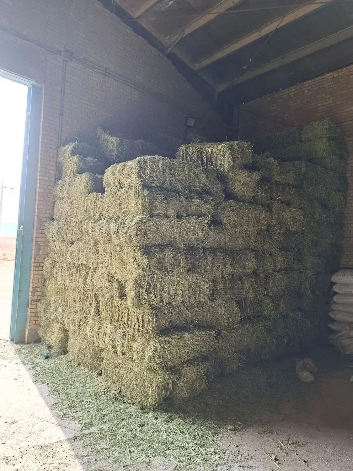 یونجه|لوازم جانبی حیوانات|پیر سلیمان, |دیوار