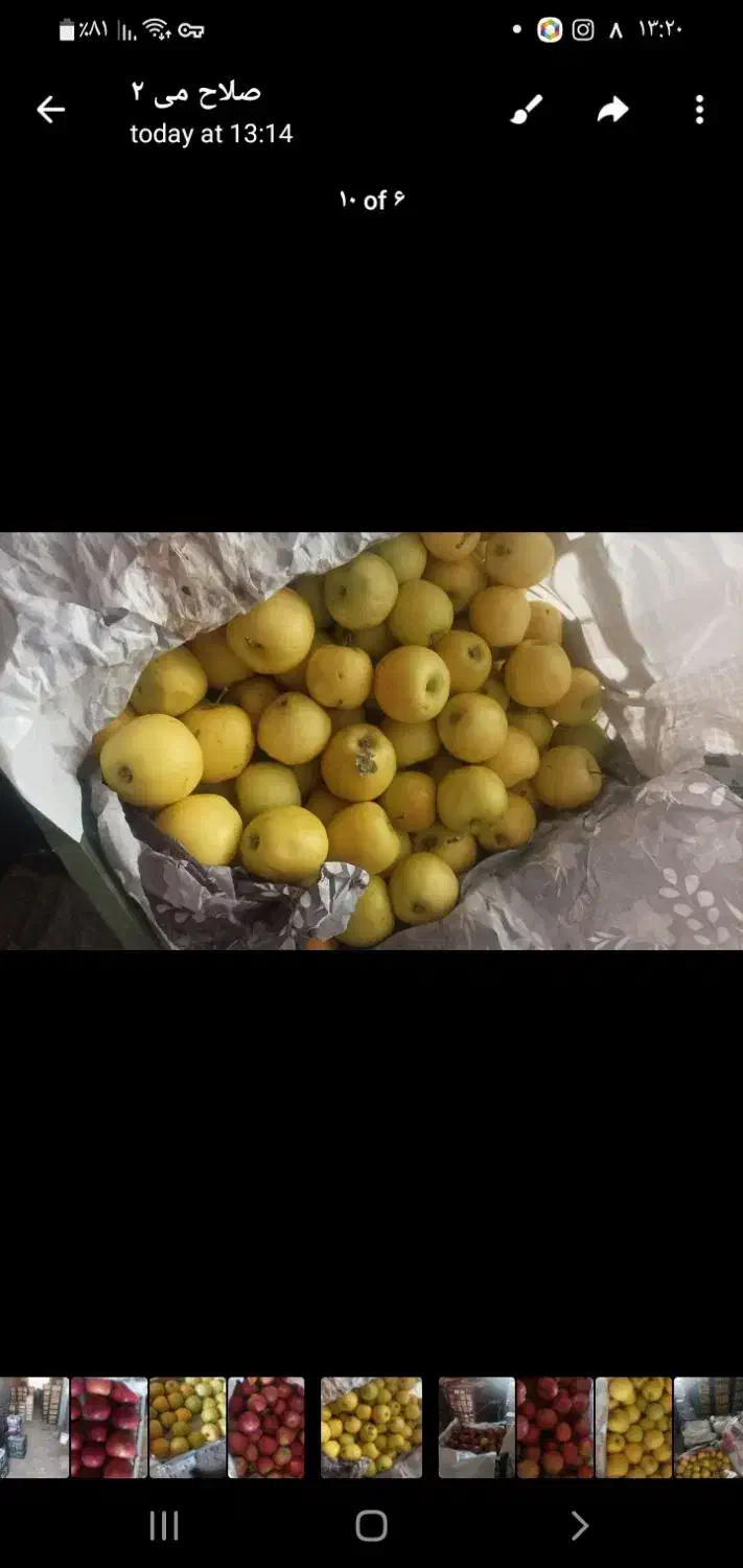 سیب درختی|خوردنی و آشامیدنی|دهگلان, |دیوار