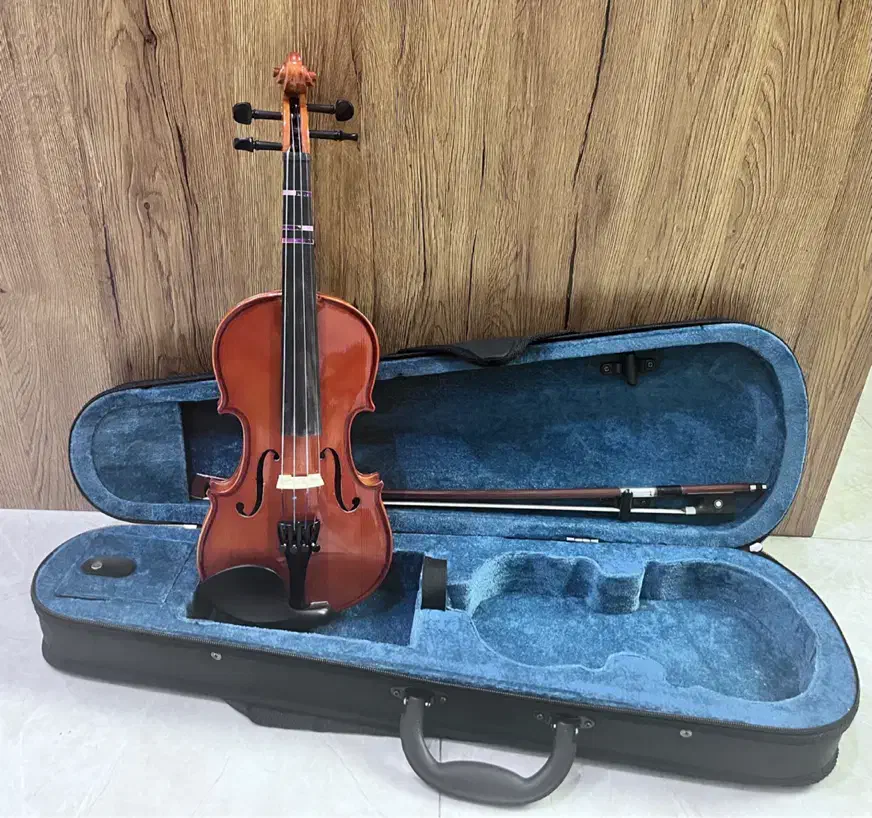 ویولن TF 142|ویولن|بندرعباس, |دیوار